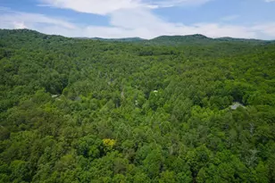 14 Finch Ln, Cherrylog, GA 30522 - Photo 22