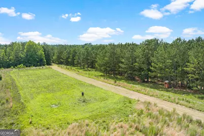 854 Bell Road, Millen, GA 30442 - Photo 34
