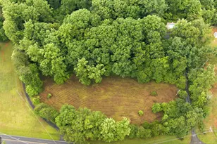 2218 J Warren Rd, Cornelia, GA 30531 - Photo 48