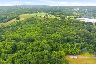 2218 J Warren Rd, Cornelia, GA 30531 - Photo 50