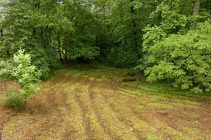 2218 J Warren Rd, Cornelia, GA 30531 - Photo 40