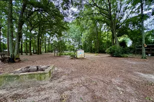 323 Giles Rd, Byron, GA 31008 - Photo 30