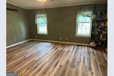 361 L E Stanfield Road, Glennville, GA 30427 - Photo 4