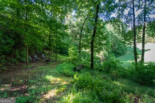 81 Dach Bruecke Gasse, Helen, GA 30545 - Photo 70