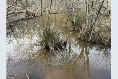 4.5 Acres Whatley Road N, Lagrange, GA 30240 - Photo 10