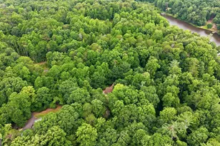 258 Marguerite Ln, Clarkesville, GA 30523 - Photo 62