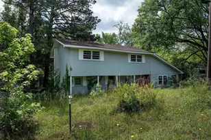110 Peach Orchard Rd, Ivey, GA 31031 - Photo 1