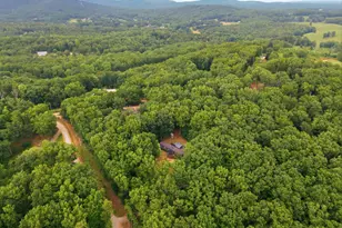 450 Snowy River Pl, Clarkesville, GA 30523 - Photo 34