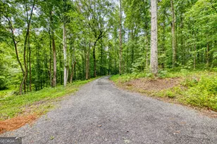 195 Buckeye Farms Dr, Moreland, GA 30259 - Photo 66