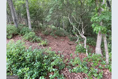 Lot 57 Asheland Overlook #57, Young Harris, GA 30582 - Photo 10