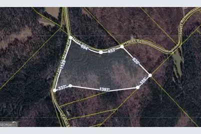 0 Felton McMichael Rd & Hayes - Landlot 090 Road, Monticello, GA 31064 - Photo 2