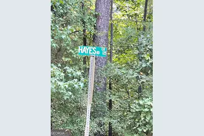 0 Felton McMichael Rd & Hayes - Landlot 090 Road, Monticello, GA 31064 - Photo 6