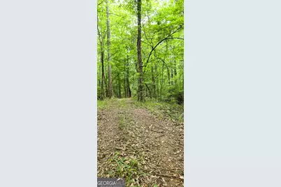 420 Padgett Road, Senoia, GA 30276 - Photo 14