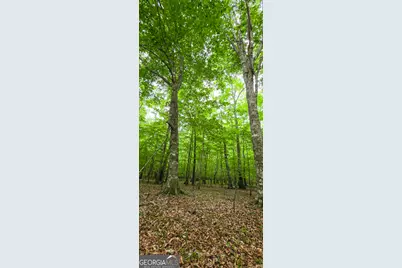 420 Padgett Road, Senoia, GA 30276 - Photo 8