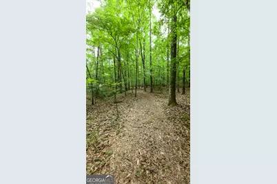 416 Padgett Road, Senoia, GA 30276 - Photo 8