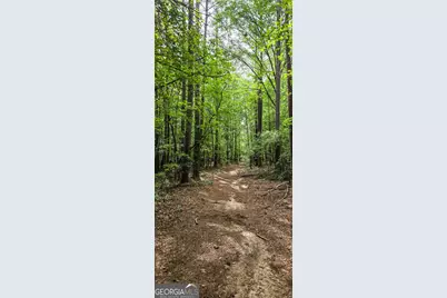 416 Padgett Road, Senoia, GA 30276 - Photo 2