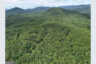 Lot 131 Laurel Crossing, Blue Ridge, GA 30513 - Photo 26