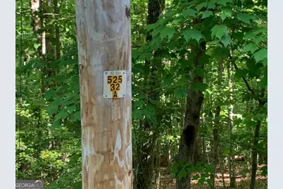 Lot 131 Laurel Crossing, Blue Ridge, GA 30513 - Photo 38