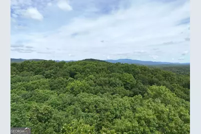 Lot 131 Laurel Crossing, Blue Ridge, GA 30513 - Photo 14