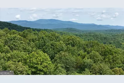Lot 131 Laurel Crossing, Blue Ridge, GA 30513 - Photo 18