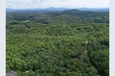 Lot 131 Laurel Crossing, Blue Ridge, GA 30513 - Photo 30