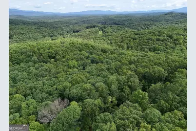 Lot 131 Laurel Crossing, Blue Ridge, GA 30513 - Photo 22