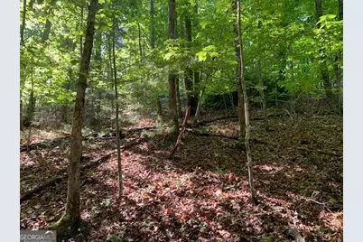 Lot 131 Laurel Crossing, Blue Ridge, GA 30513 - Photo 6