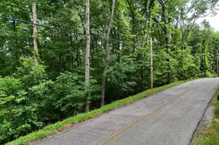 Lot 131 Laurel Crossing, Blue Ridge, GA 30513 - Photo 1