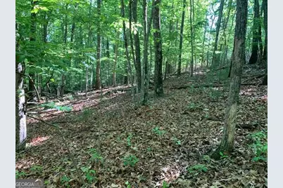 Lot 131 Laurel Crossing, Blue Ridge, GA 30513 - Photo 8