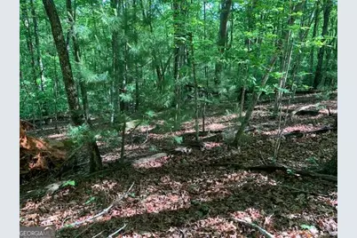 Lot 131 Laurel Crossing, Blue Ridge, GA 30513 - Photo 32