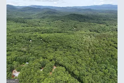 Lot 131 Laurel Crossing, Blue Ridge, GA 30513 - Photo 24