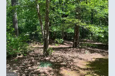 11974 Olmstead Drive, Fayetteville, GA 30215 - Photo 80