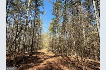 2375 Factory Hole Drive, Bowman, GA 30624 - Photo 40
