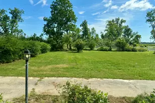 654 Fire Tower Rd, Mount Vernon, GA 30445 - Photo 4