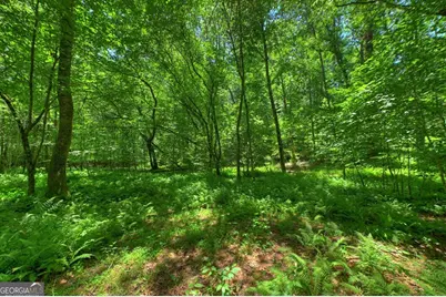 6385 Hwy 2, Epworth, GA 30541 - Photo 12