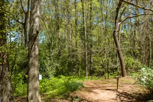 6 Thompson Ln, Thomaston, GA 30286 - Photo 66
