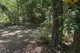 1976 Delowe Dr SW, Atlanta, GA 30311 - Photo 16
