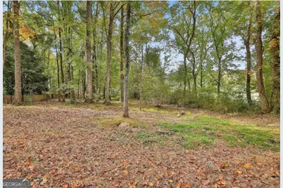 20 Audubon Point, Newnan, GA 30265 - Photo 40