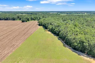 2997 Jason Franklin Rd, Register, GA 30452 - Photo 54