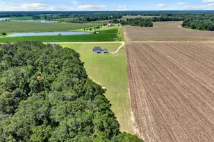 2997 Jason Franklin Rd, Register, GA 30452 - Photo 52