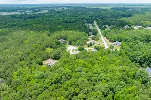 254 Magnolia Pl Dr, Senoia, GA 30276 - Photo 76