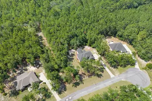 149 Windmill Plantation Dr, Statesboro, GA 30461 - Photo 50