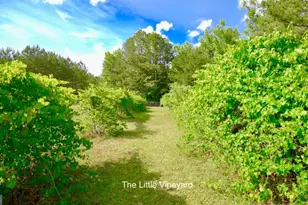 3701 Little River Rd, Madison, GA 30650 - Photo 58