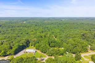 119 Timberlane St, Homer, GA 30547 - Photo 62