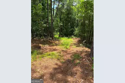 0 Whatley North Rd, Lagrange, GA 30240 - Photo 10