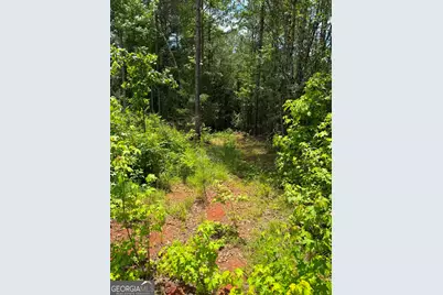0 Whatley North Rd, Lagrange, GA 30240 - Photo 6