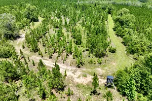 0 W River Rd, Rhine, GA 31077 - Photo 1