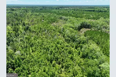 0 W. River Road, Rhine, GA 31077 - Photo 22