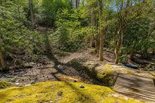 480 Wahu Hu Dr, Hiawassee, GA 30546 - Photo 50