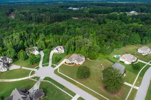 31 Palomino Ct, Newnan, GA 30265 - Photo 60